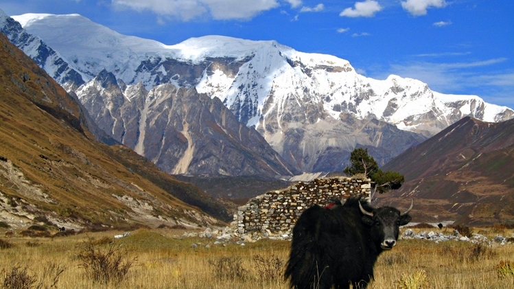 Photography in Bhutan: Capturing the Land of the Thunder Dragon