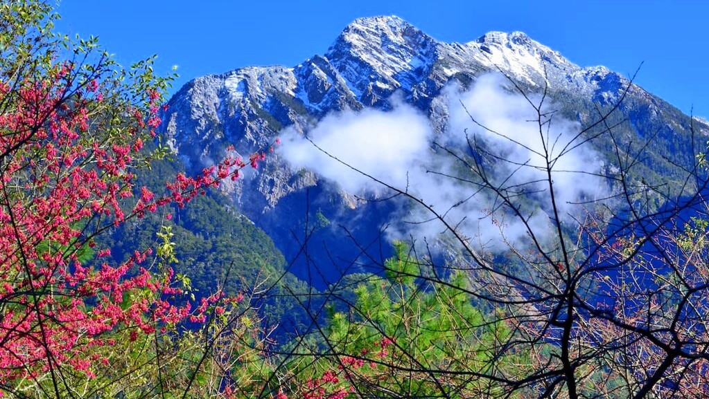 Detailed Guide to the Four Seasons in Tibet: What to Expect When